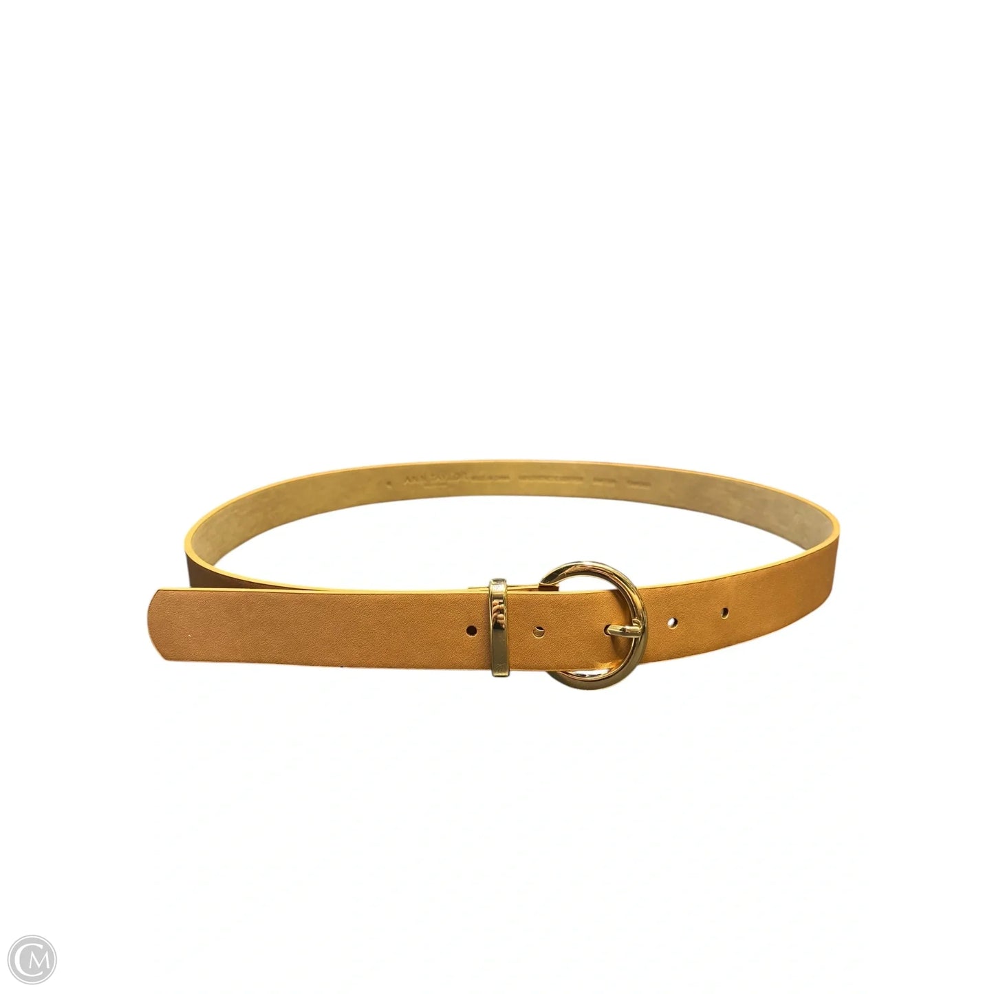 Belt By Ann Taylor