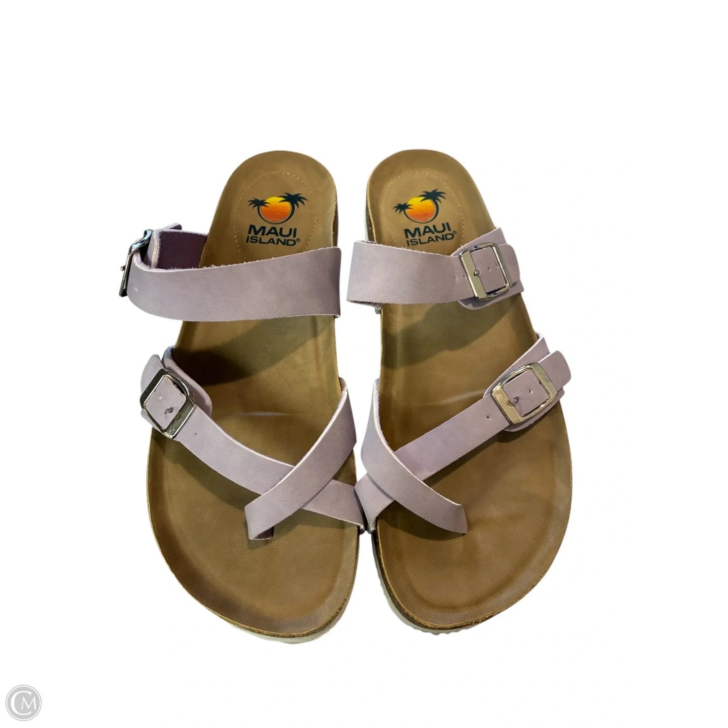 Sandals Flats By Clothes Mentor In Purple, Size: 9