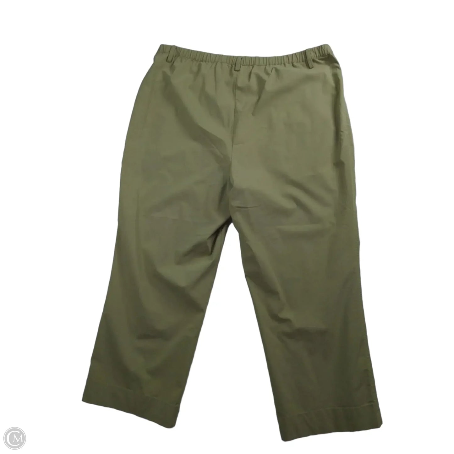 Pants Cargo & Utility By Clothes Mentor In Green, Size: 1x