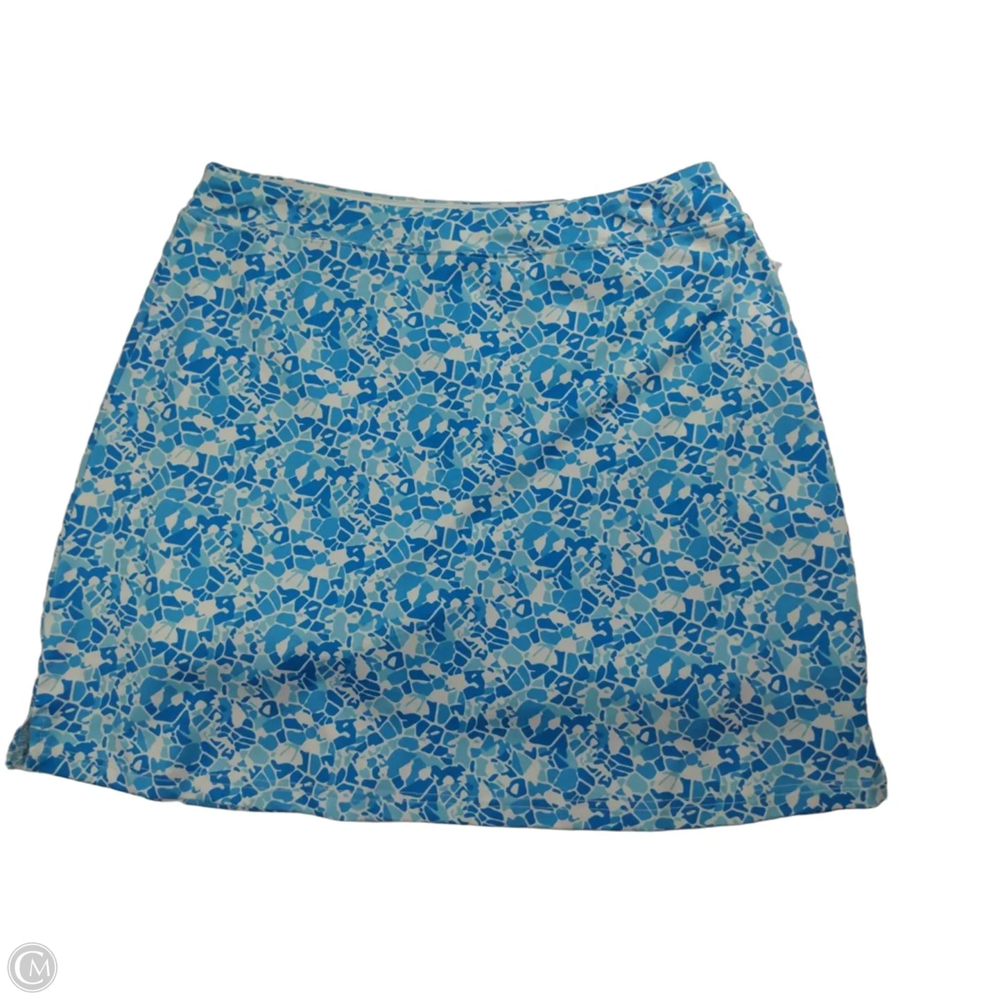 Athletic Skirt By Ekouaer In Blue & White, Size: L