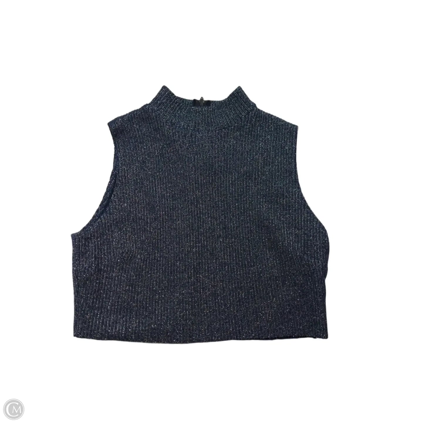 Top Sleeveless By Clothes Mentor In Blue & Silver, Size: S