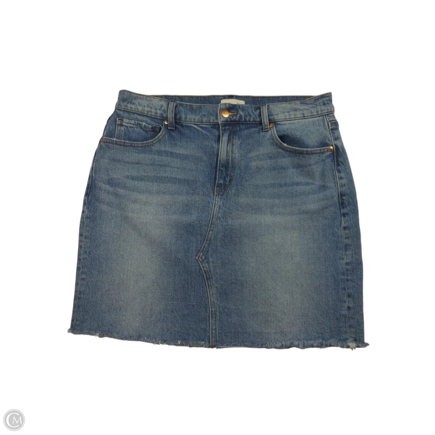 Skirt Mini & Short By Evereve In Blue, Size: L