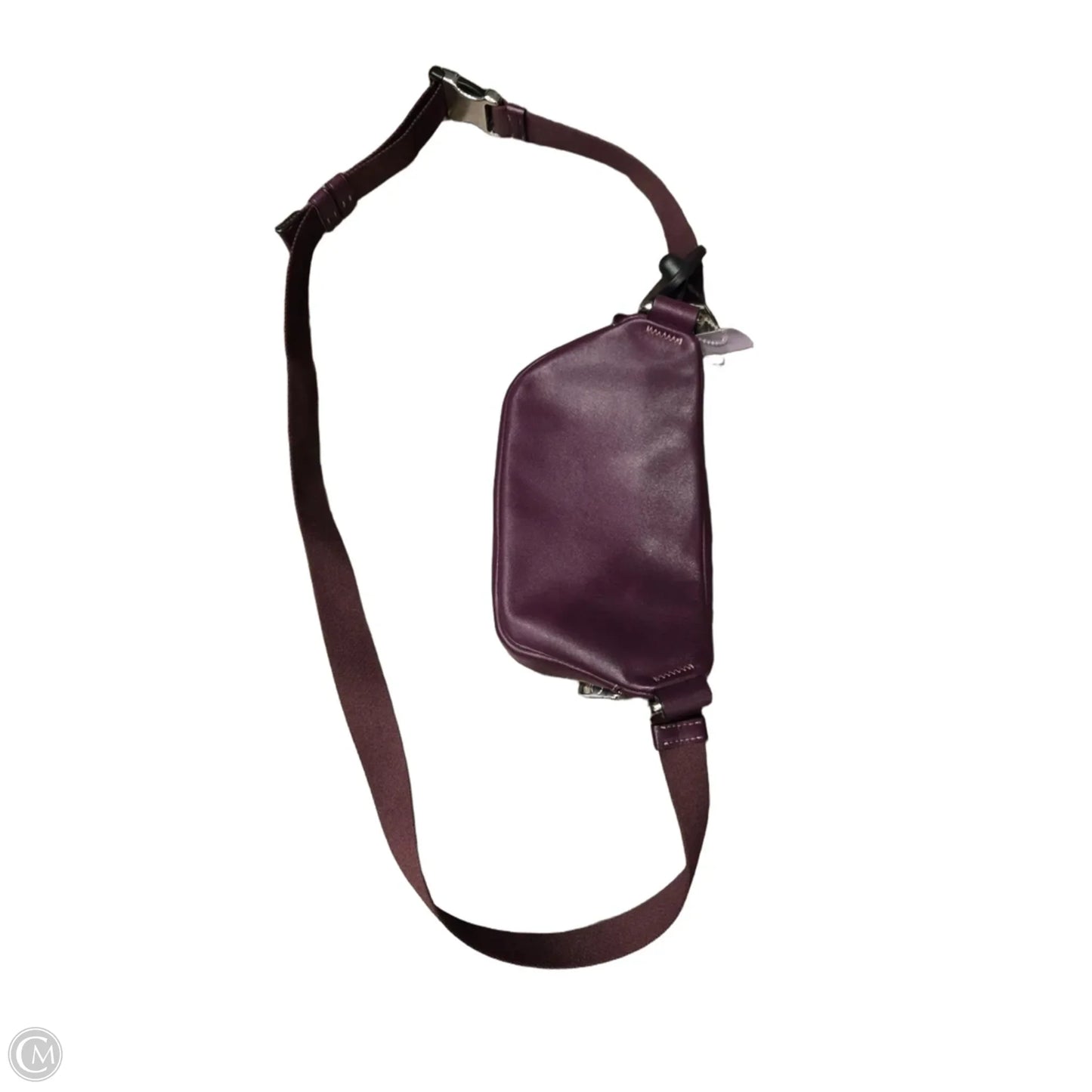 Belt Bag Designer By Coach, Size: Small