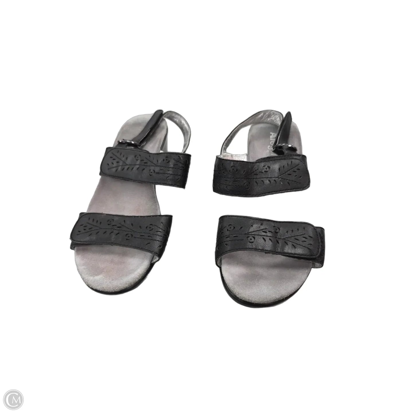 Sandals Heels Block By Alegria In Black, Size: 10