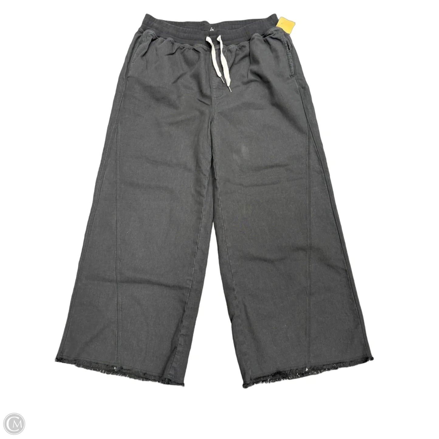 Pants Wide Leg By Aerie In Grey, Size: 16