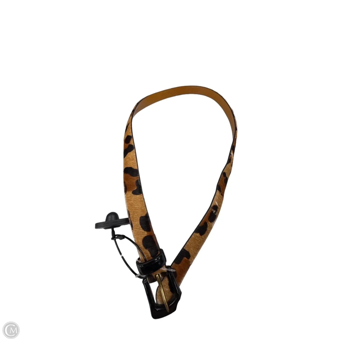 Belt By Cmf