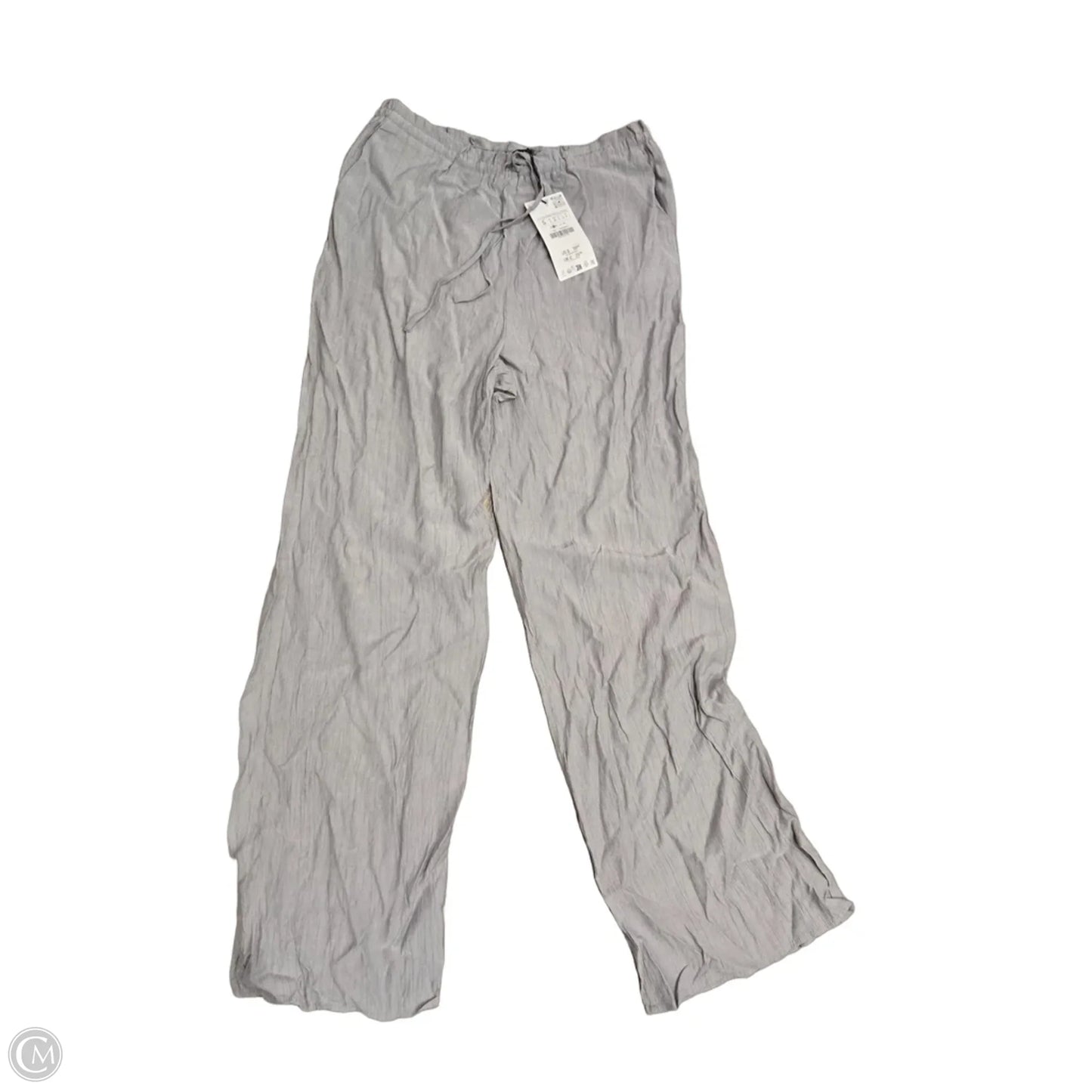 Pants Lounge By Zara In Silver, Size: S