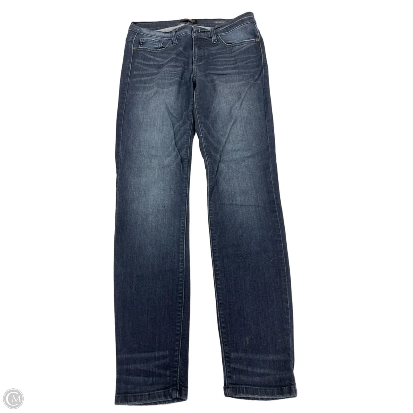 Jeans Skinny By Judy Blue In Blue Denim, Size: 10