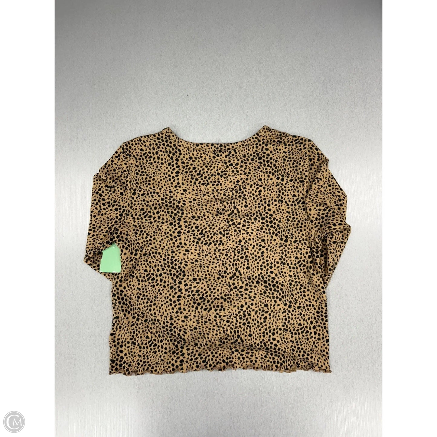 Top Long Sleeve By American Eagle In Animal Print, Size: Xs