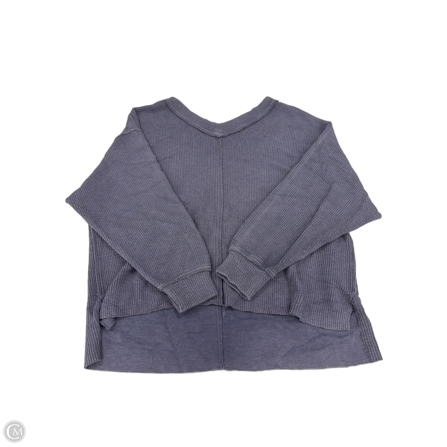 Top Long Sleeve By Aerie In Blue, Size: S