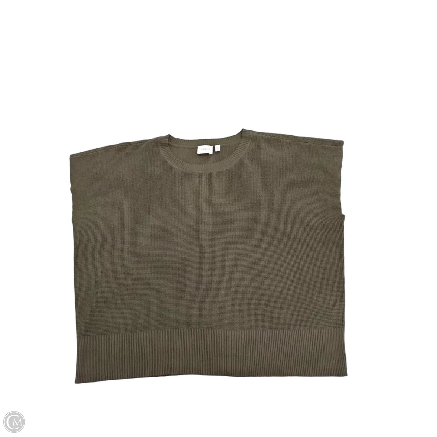Top Sleeveless By Cyrus In Green, Size: Xl