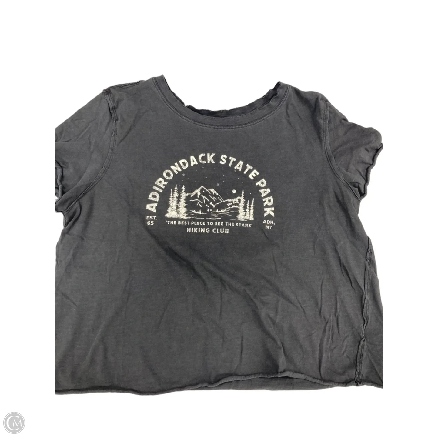 Top Short Sleeve By Anthropologie In Grey, Size: L