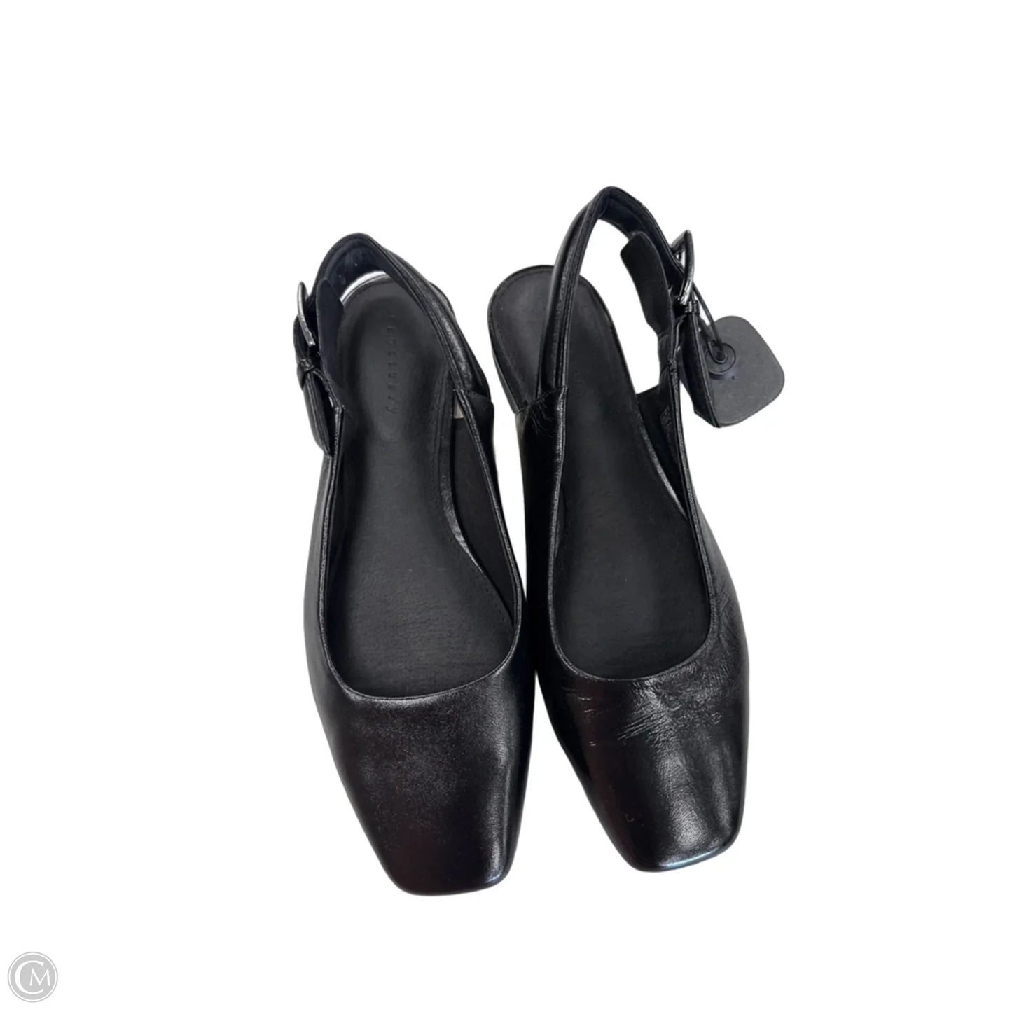 Shoes Flats By Sanctuary In Black, Size: 8.5