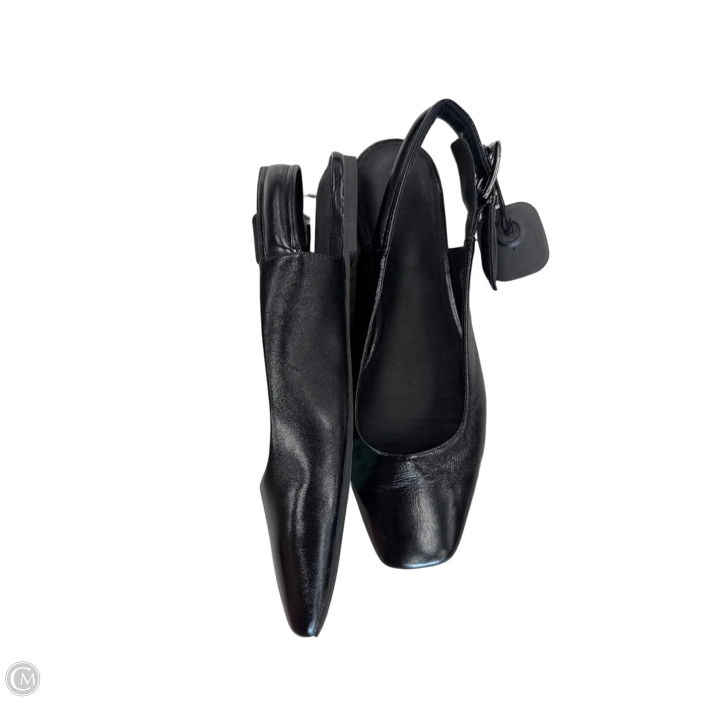 Shoes Flats By Sanctuary In Black, Size: 8.5
