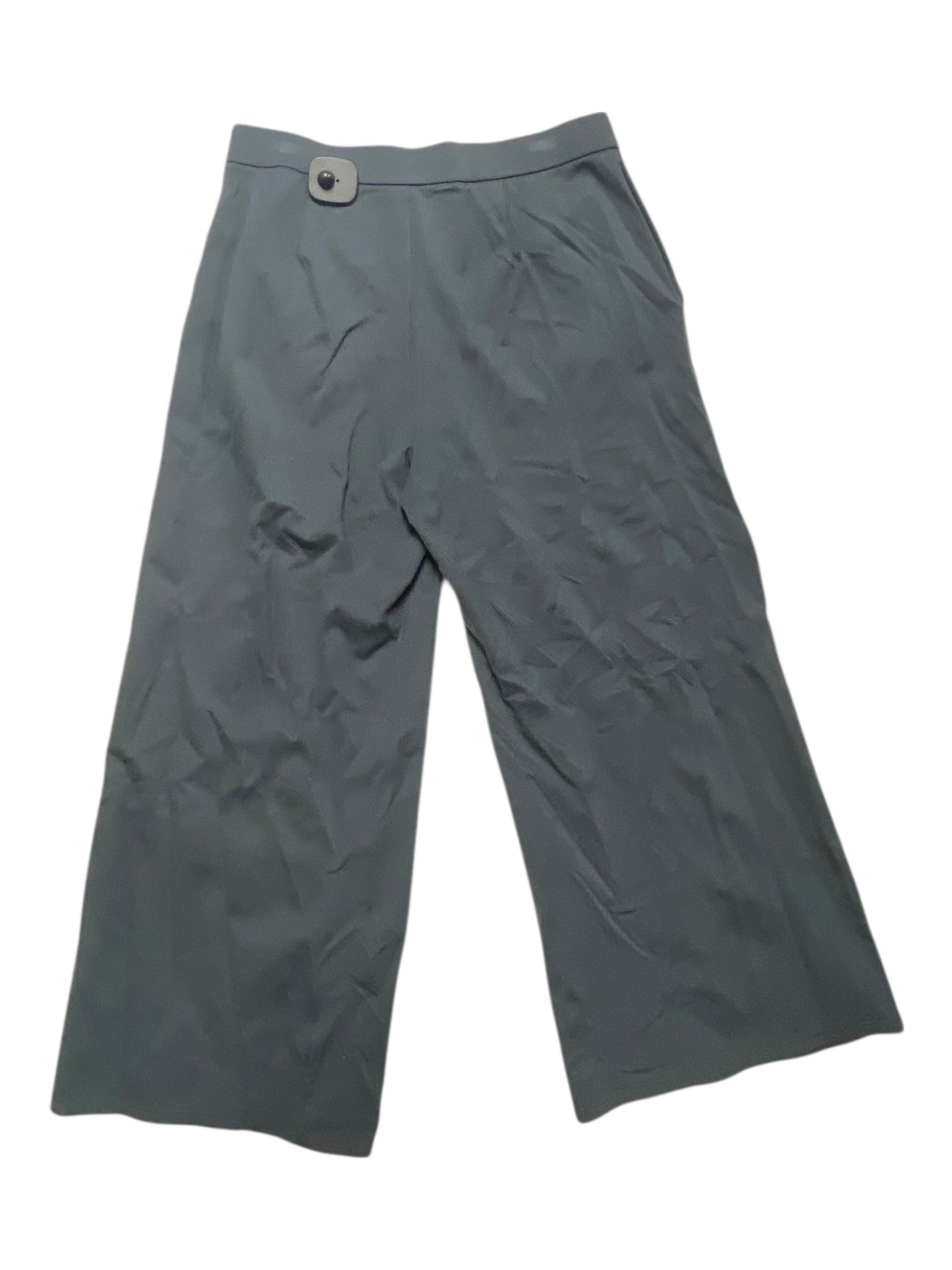 Pants Designer By Eileen Fisher In Blue, Size:Mp