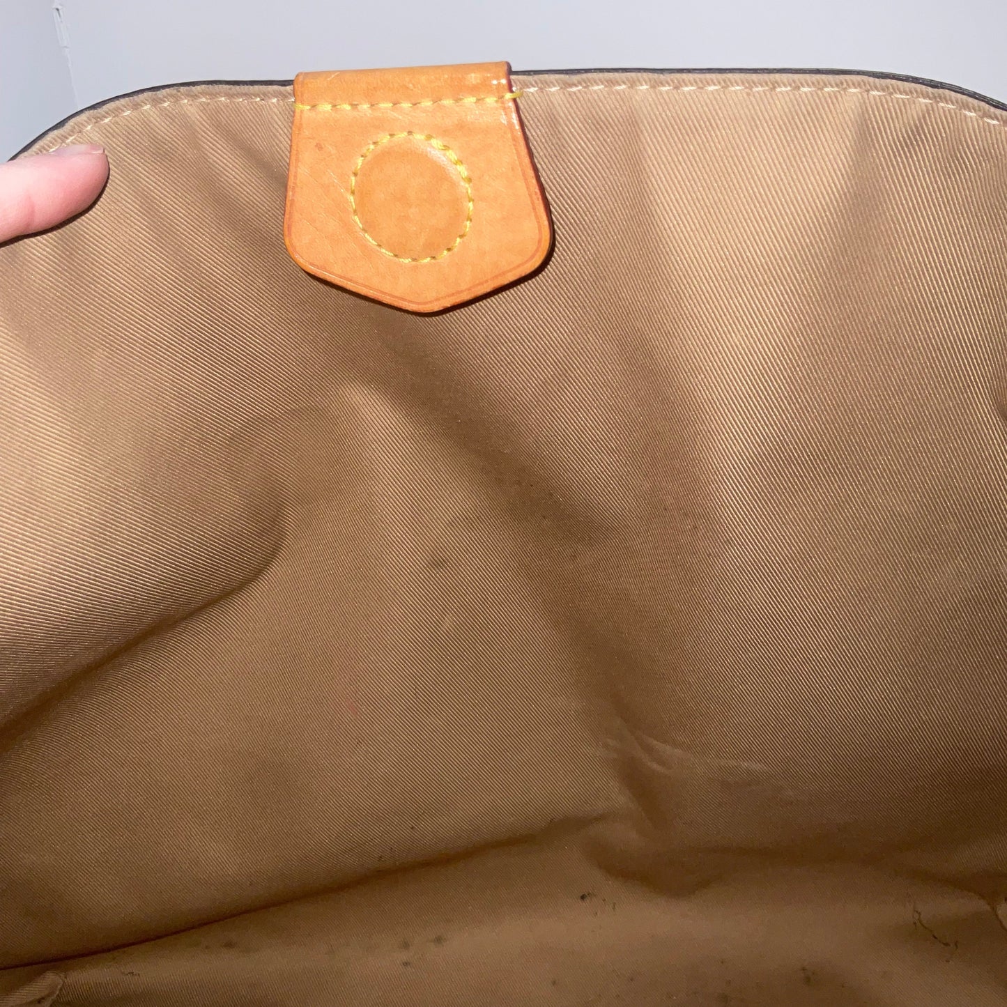 Handbag Luxury Designer By Louis Vuitton, Size: Large