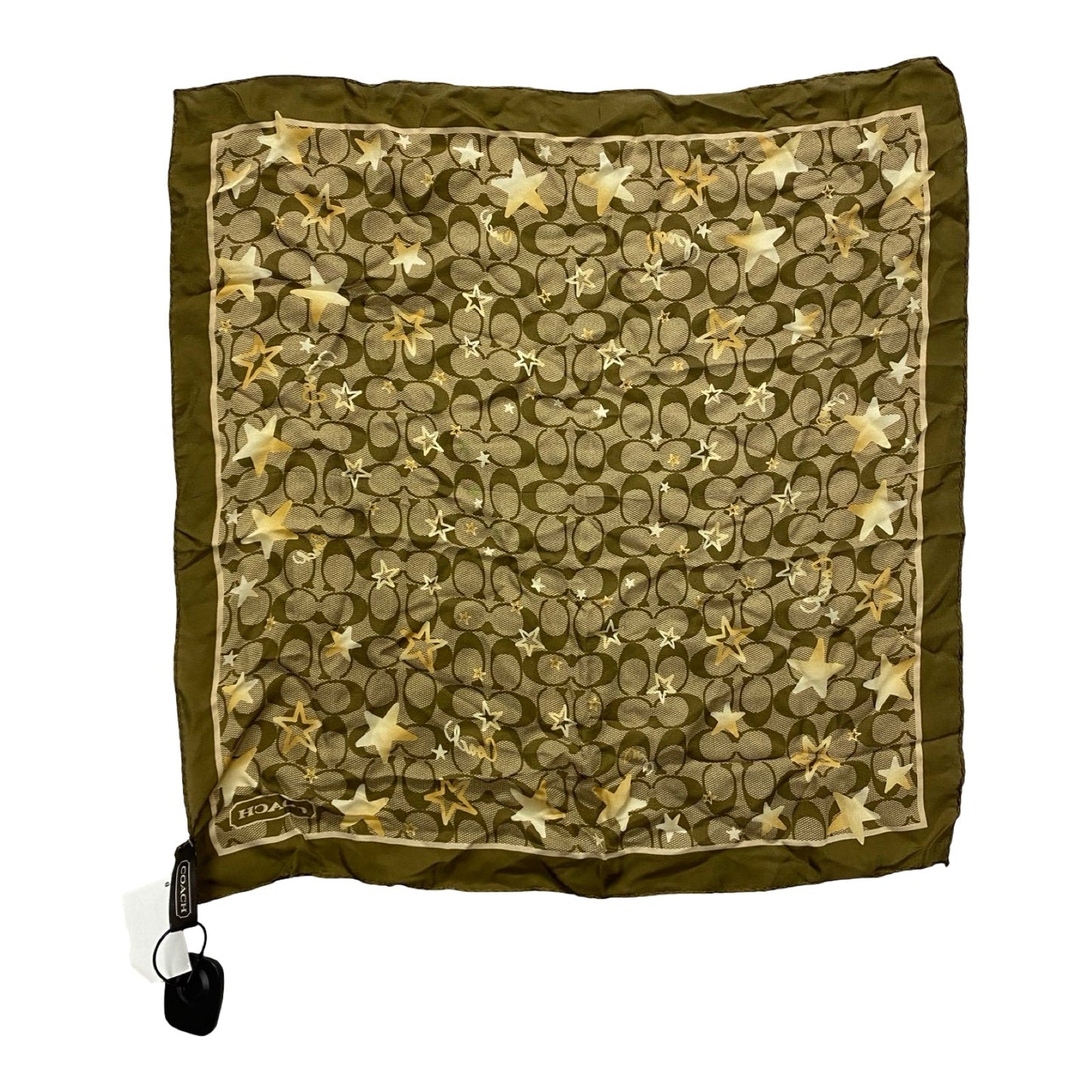 Scarf Designer By Coach In Multi