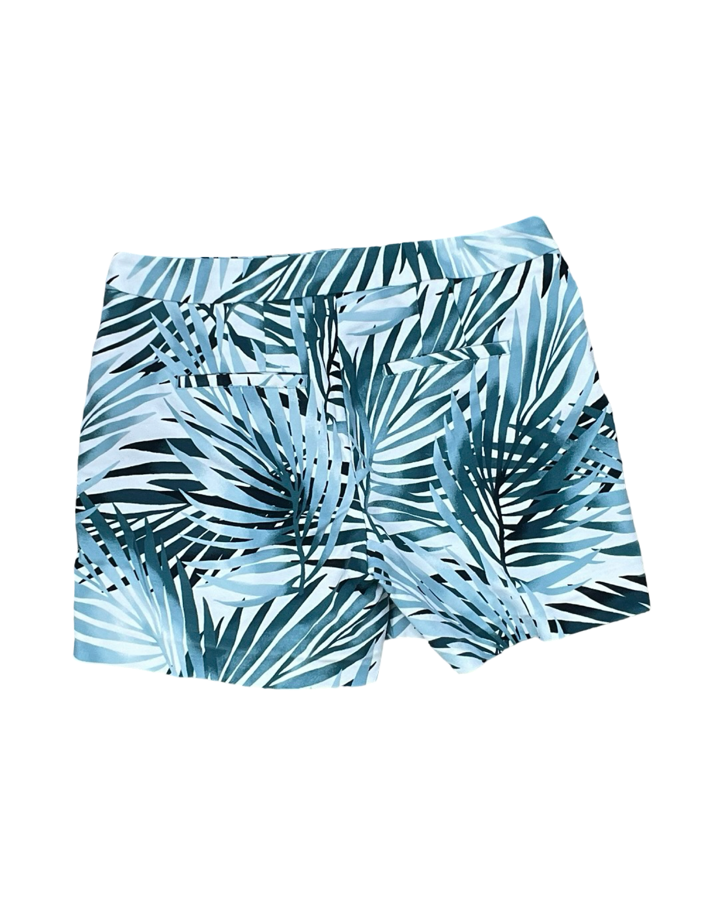 Shorts By White House Black Market In Green & White, Size:2