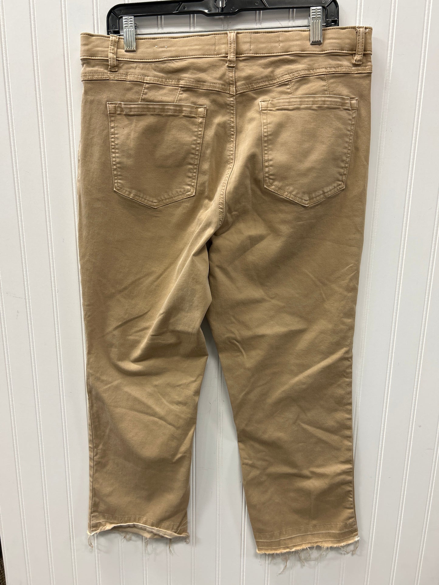Jeans Straight By Tribal In Brown Denim, Size:14