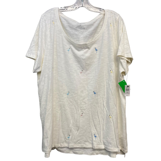Top Ss Basic By Talbots In Cream, Size:2X
