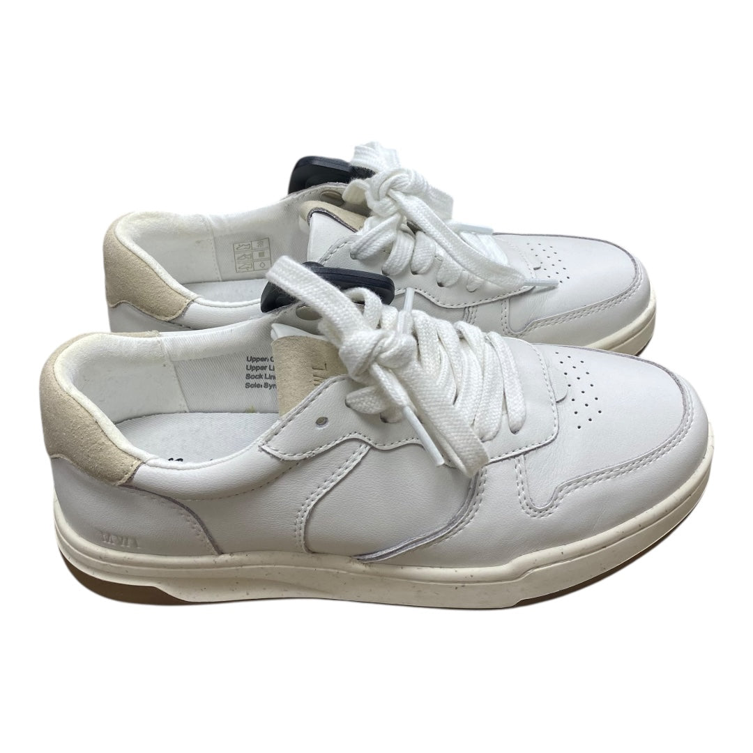 Shoes Sneakers By Madewell In White, Size:6