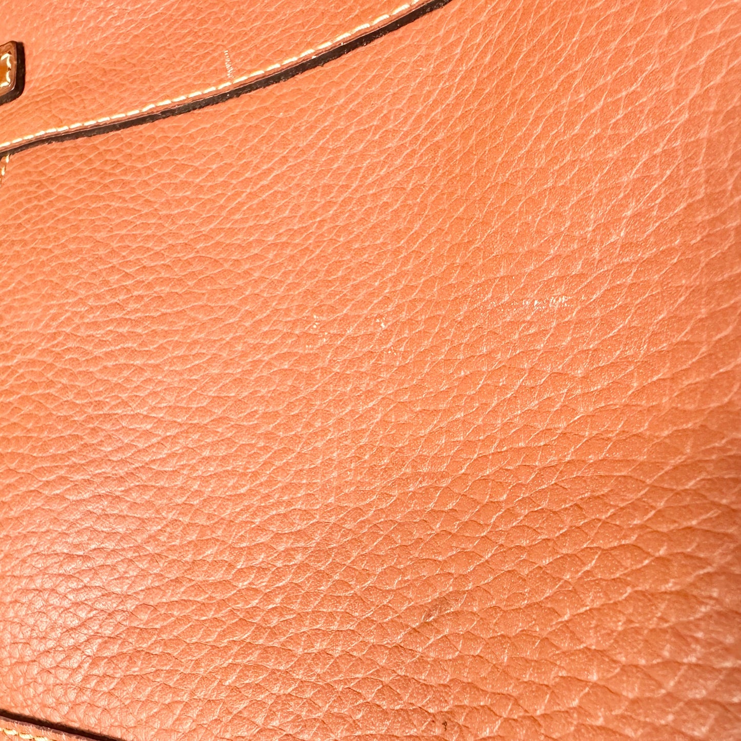 Handbag Designer By Dooney And Bourke, Size: Large