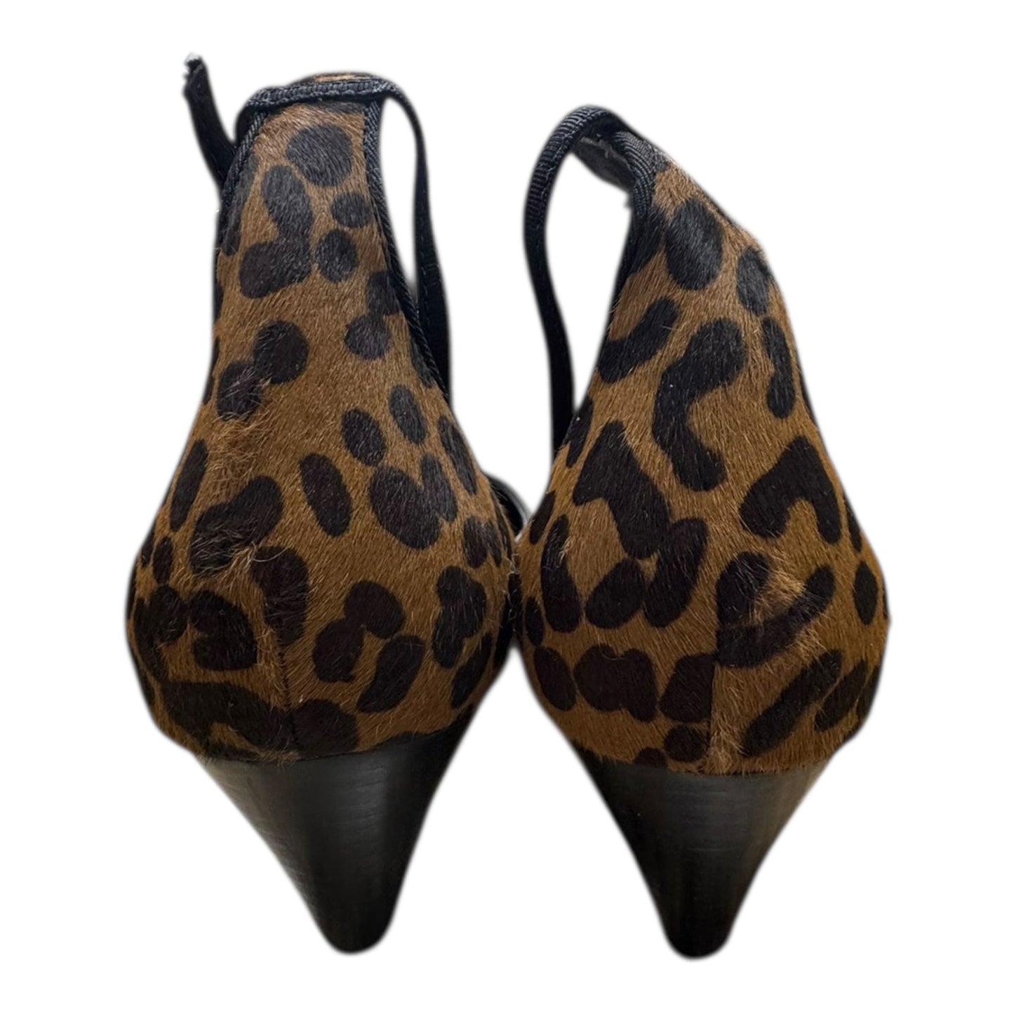 Shoes Heels Block By Franco Sarto In Animal Print, Size:6.5