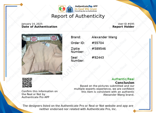 Sweatshirt Luxury Designer By Alexander Wang In Tan, Size: S