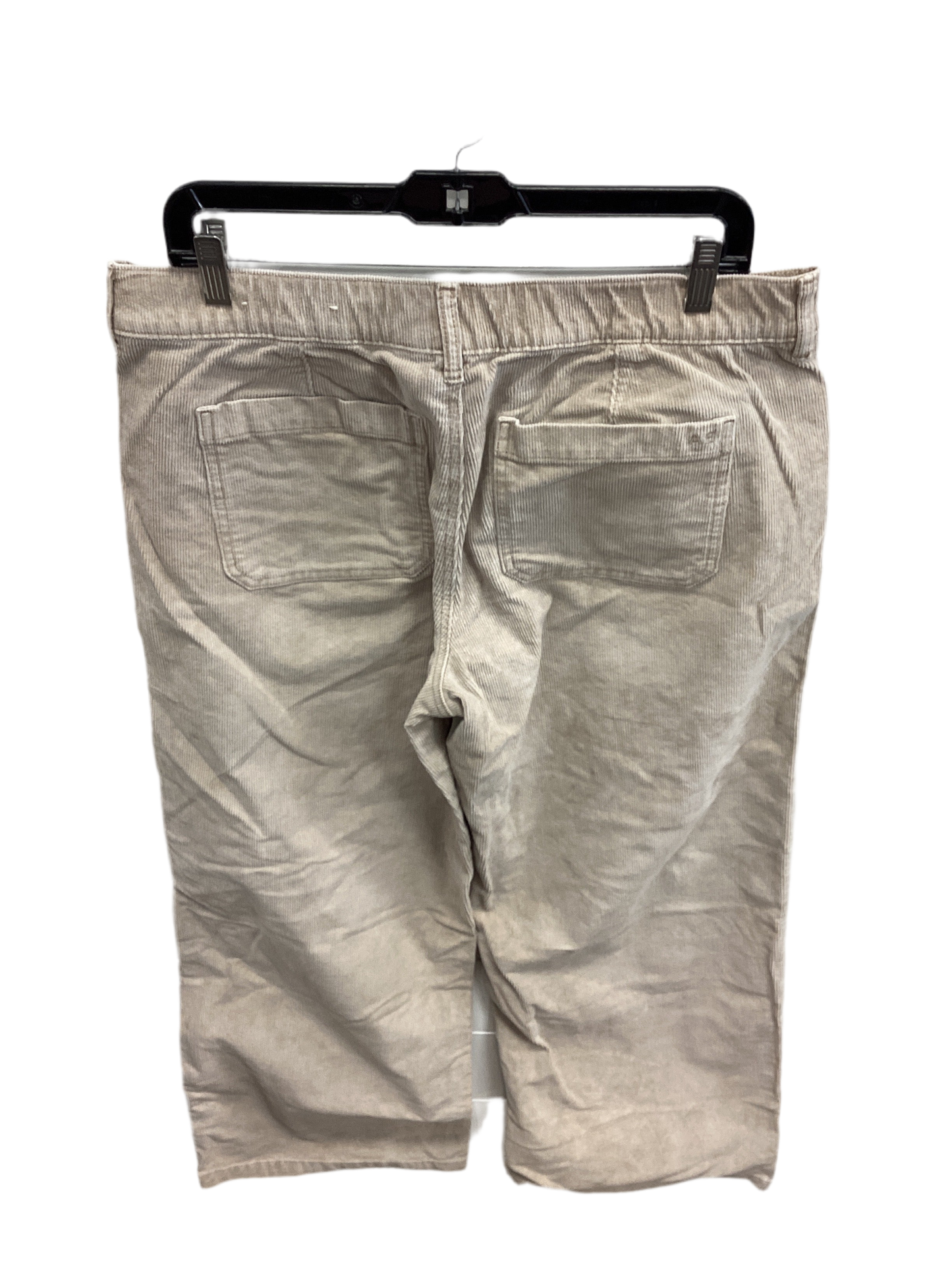 Pants Corduroy By American Eagle In Tan, Size:10