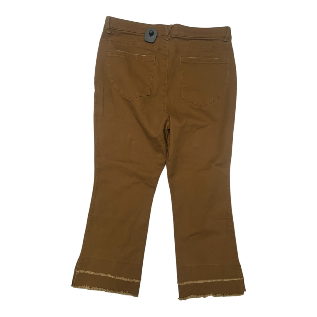 Jeans Boot Cut By Democracy In Brown Denim, Size:16