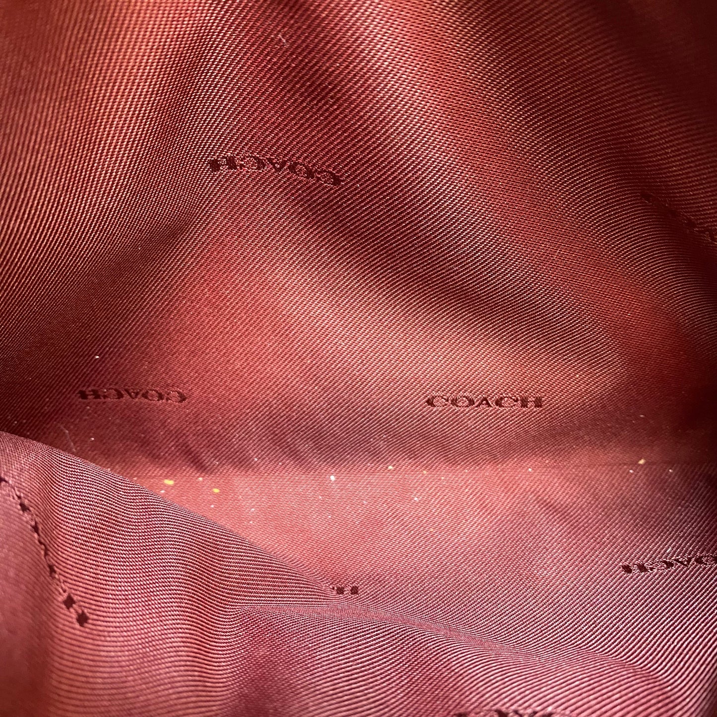 Wristlet Designer By Coach, Size: Large