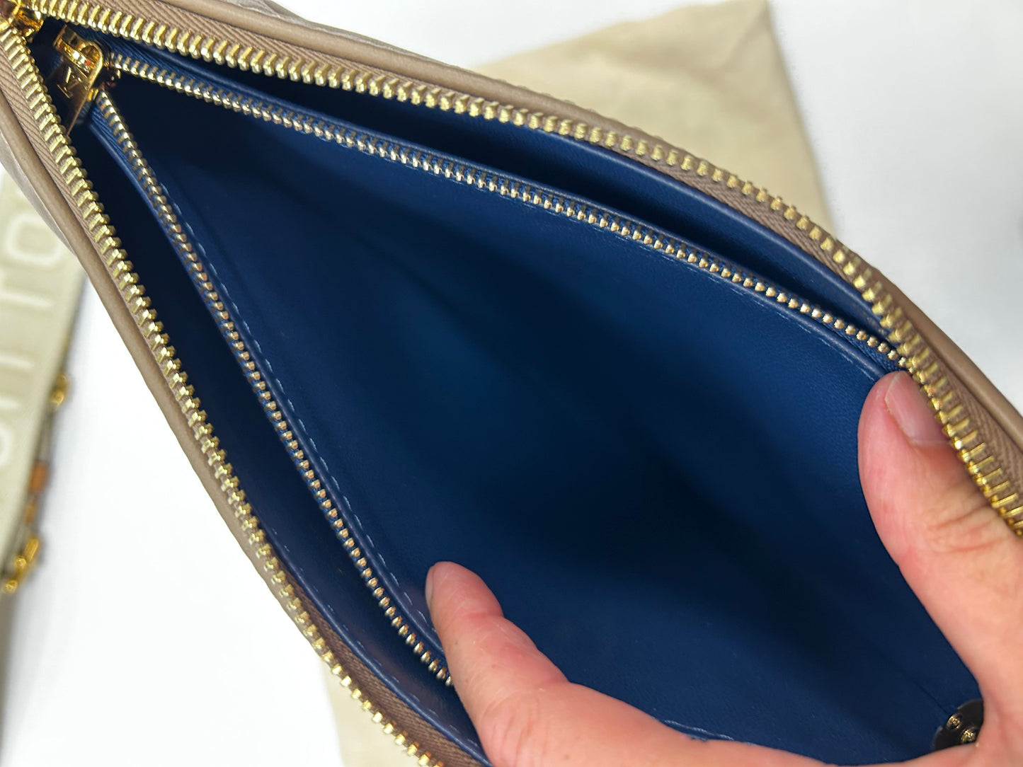 Handbag Luxury Designer By Louis Vuitton