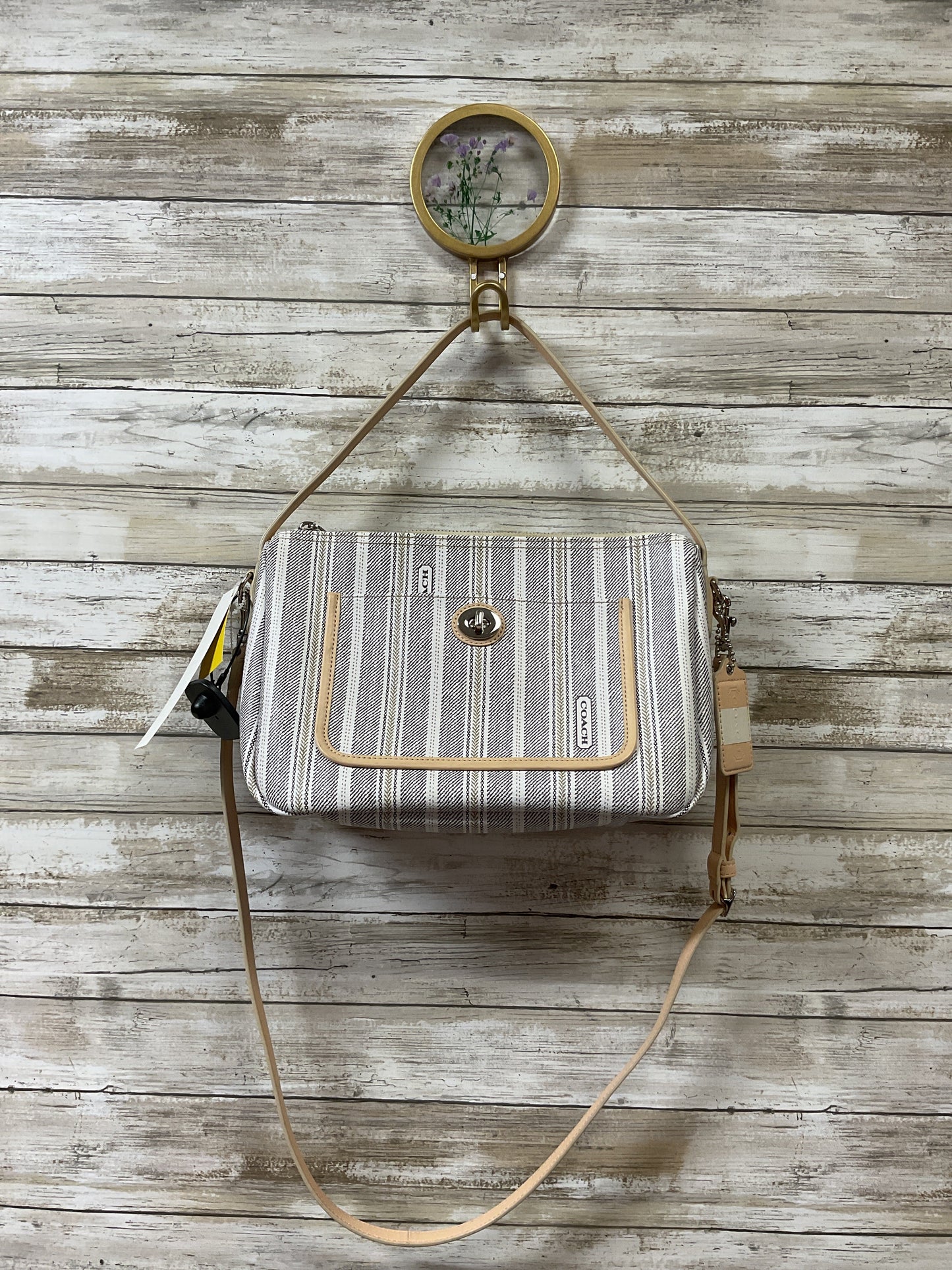 Handbag Designer By Coach In Cream & Grey, Size:Medium