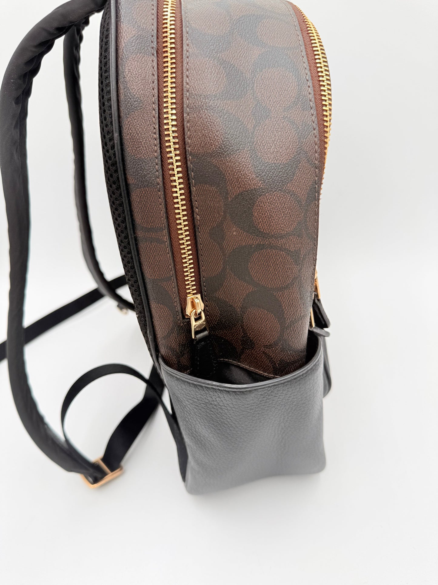 Backpack Designer By Coach, Size: Small