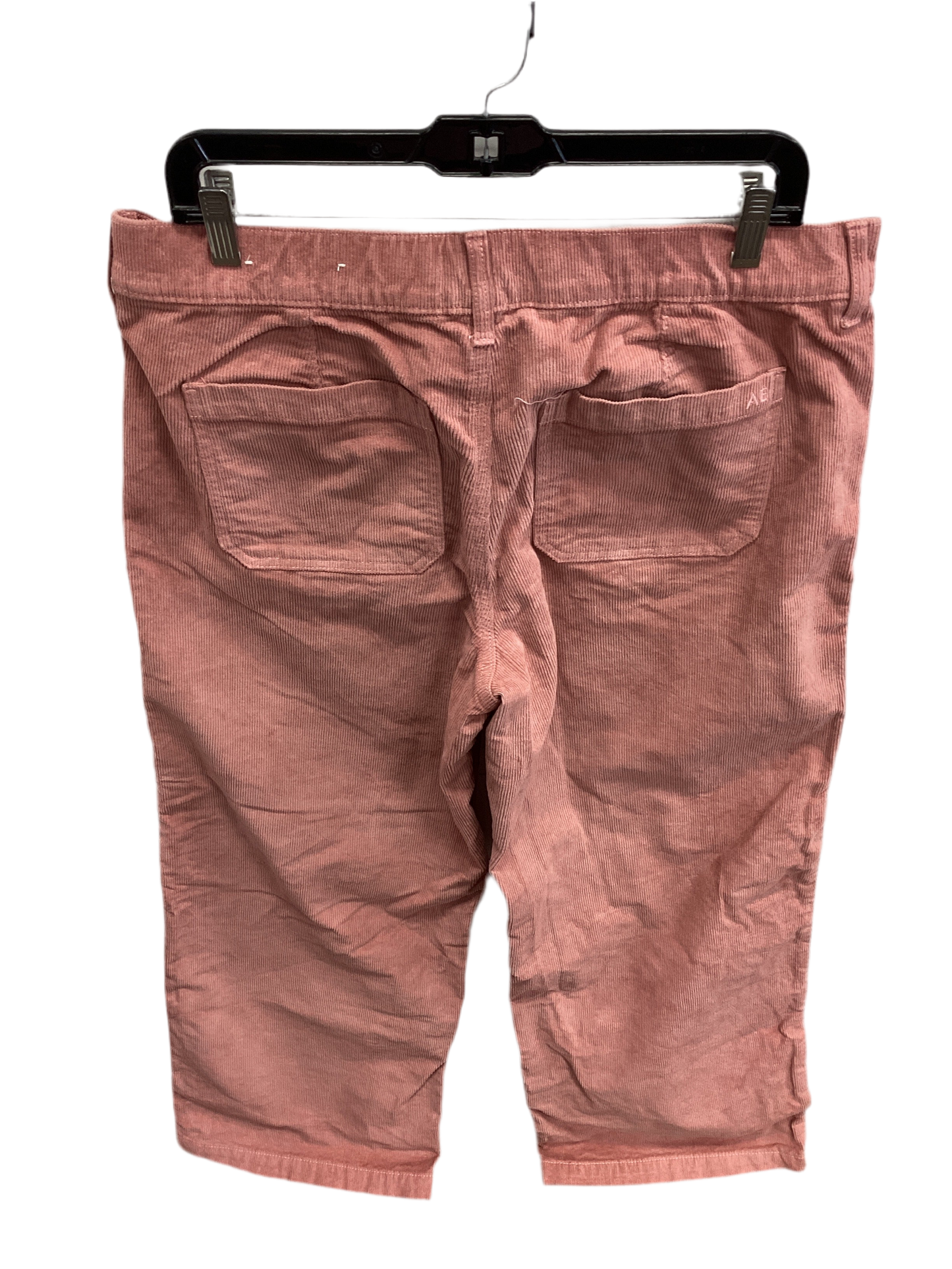 Pants Corduroy By American Eagle In Red, Size:10