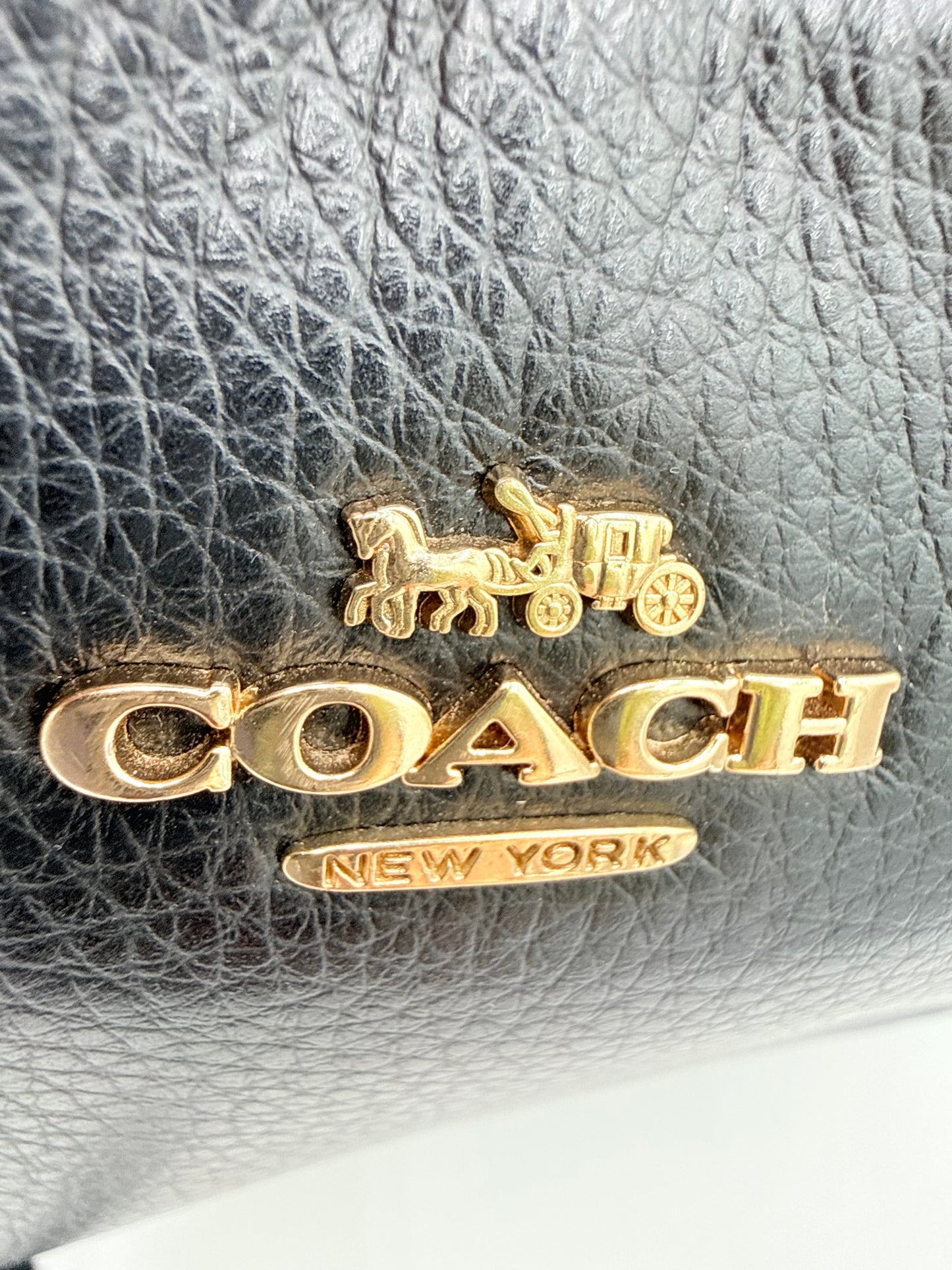Backpack Designer By Coach, Size: Small