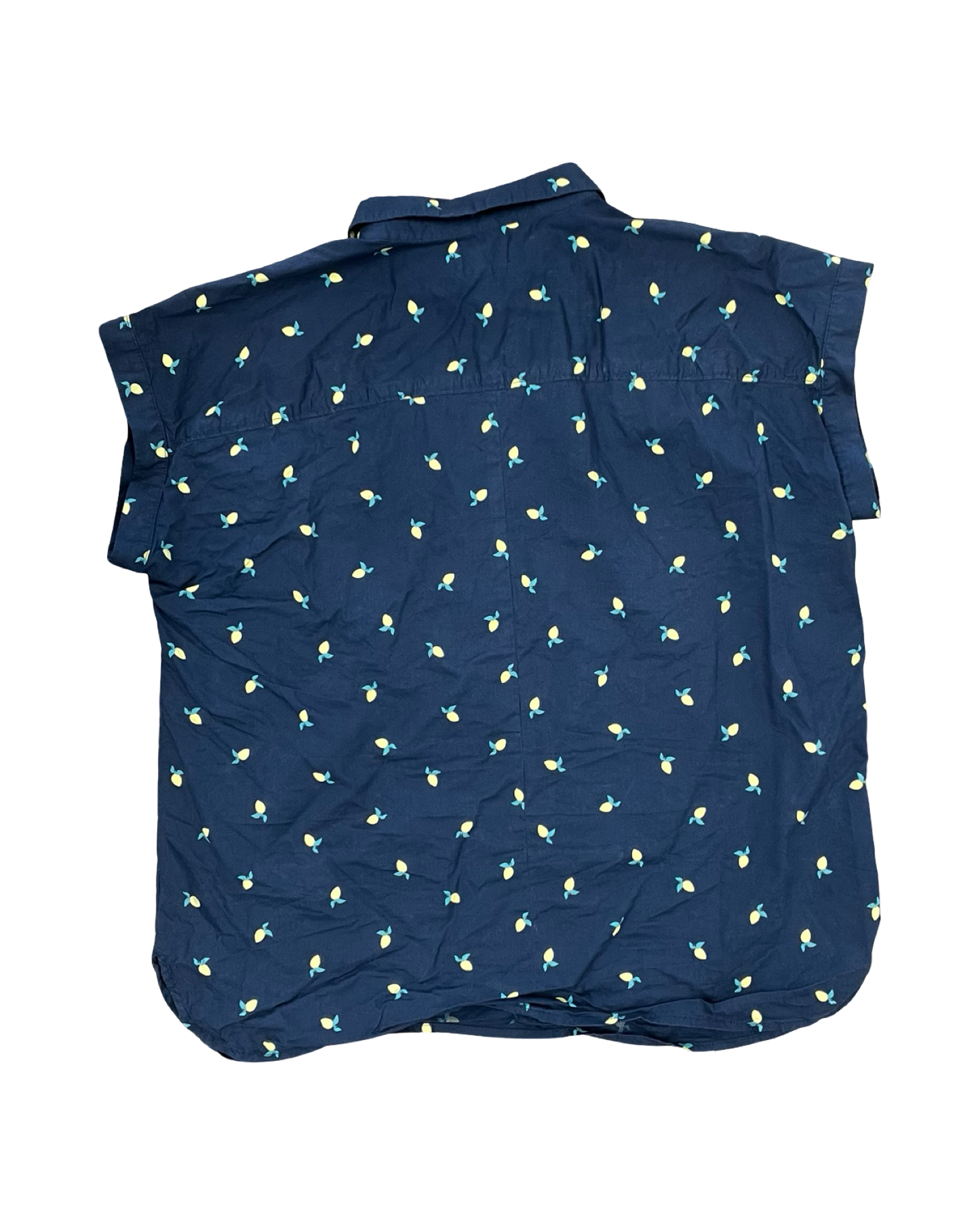 Top Ss By Loft In Blue, Size:L