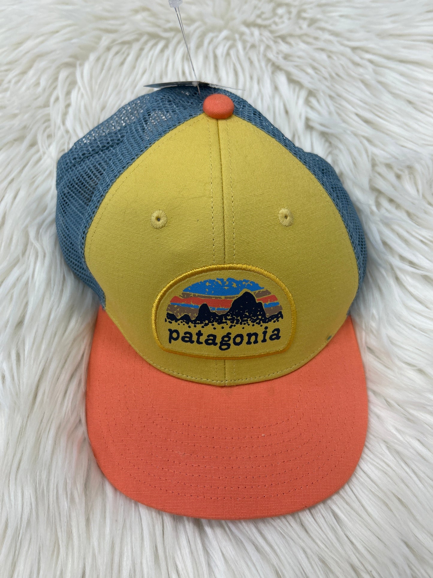 Hat Baseball Cap By Patagonia In Yellow