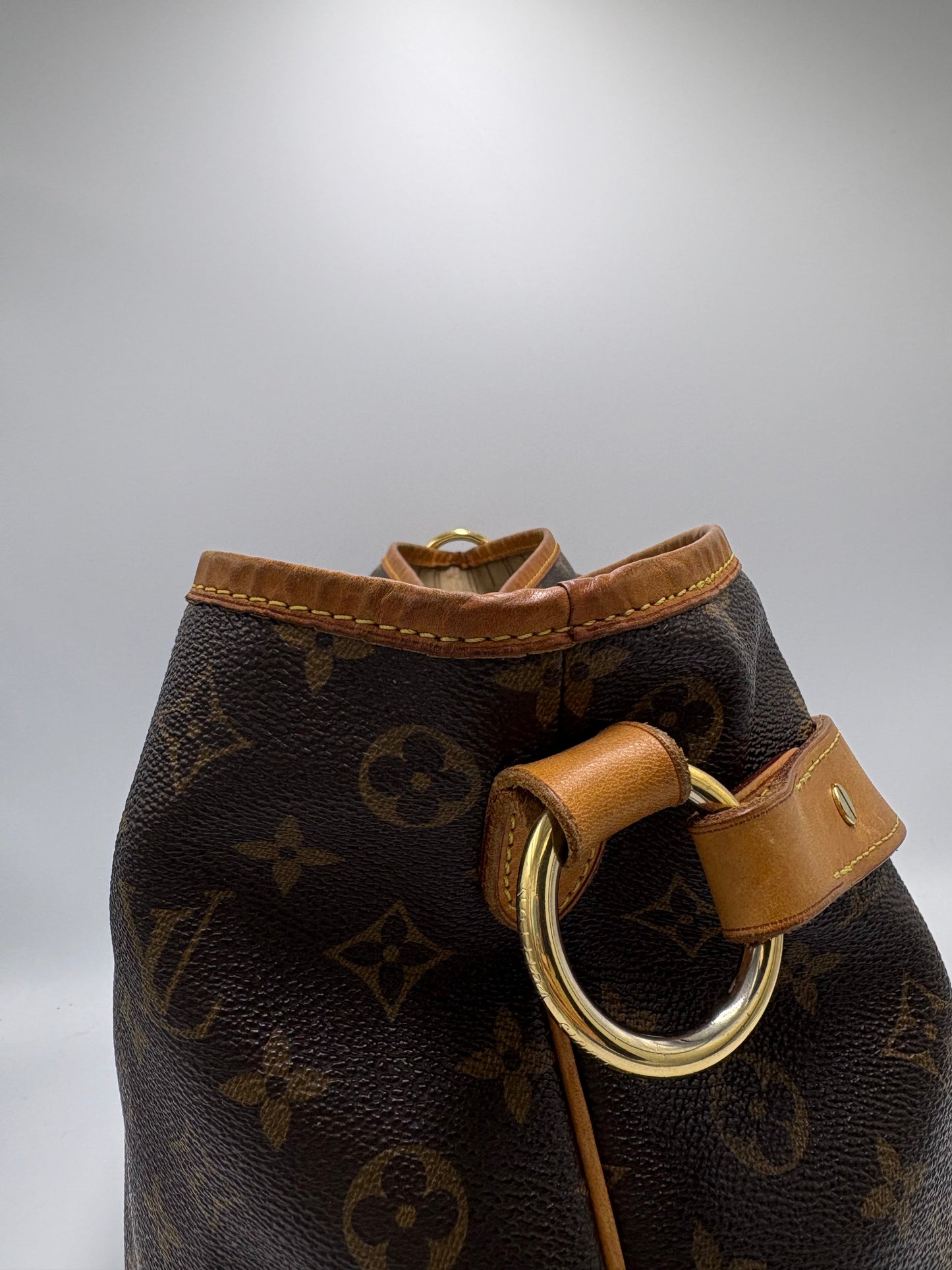 Louis Vuitton Delightful MM Hobo Luxury Handbag