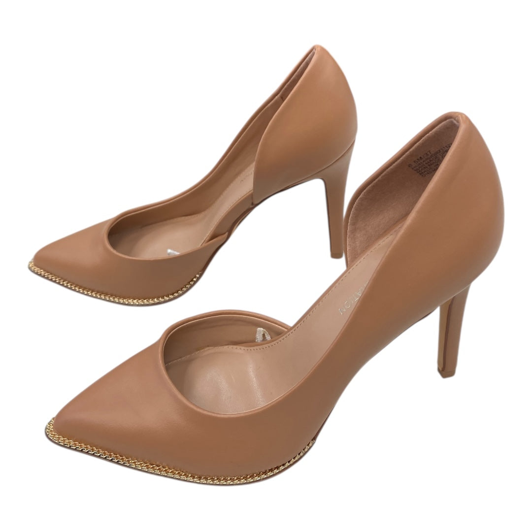 Shoes Heels Kitten By Bcbgeneration In Tan, Size:6.5