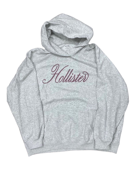Sweatshirt Hoodie By Hollister In Grey, Size:1X