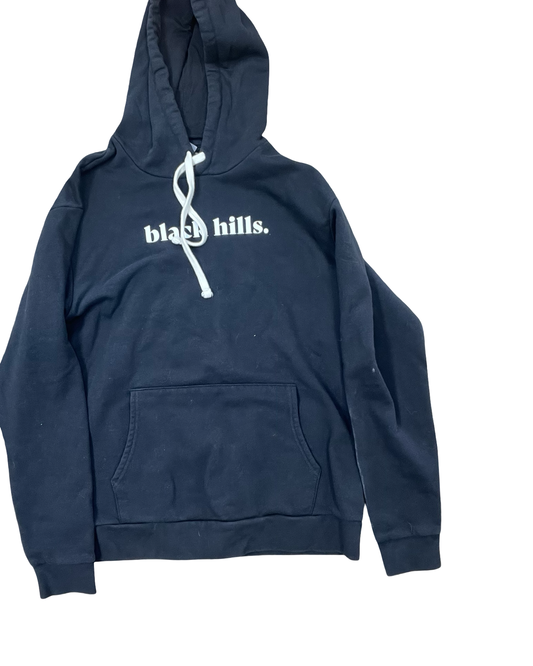 Sweatshirt Hoodie By Next Level In Black, Size:L