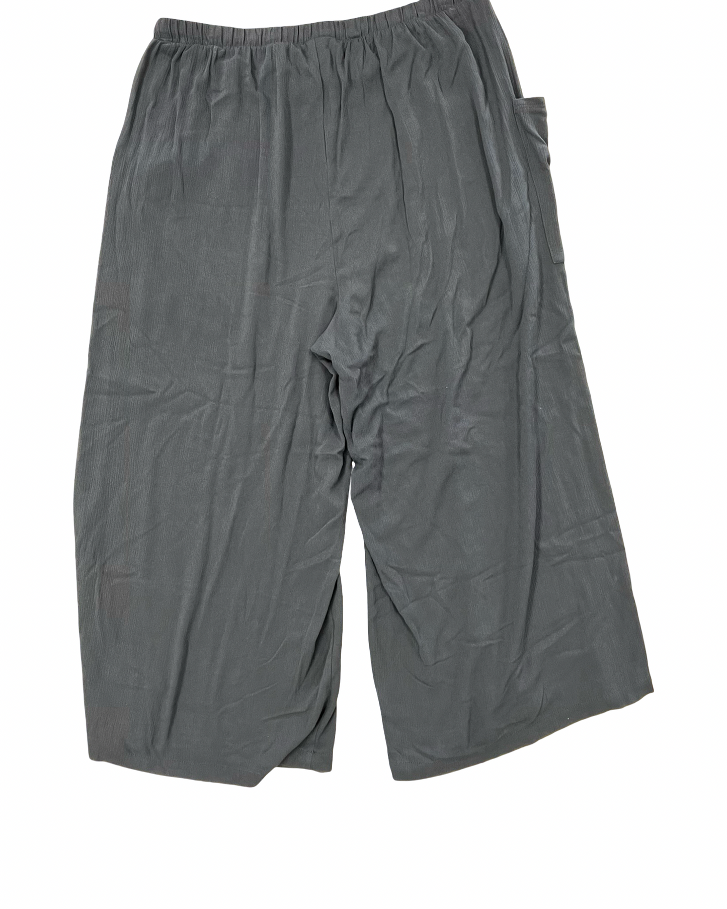 Pants Other By Torrid In Grey, Size:L