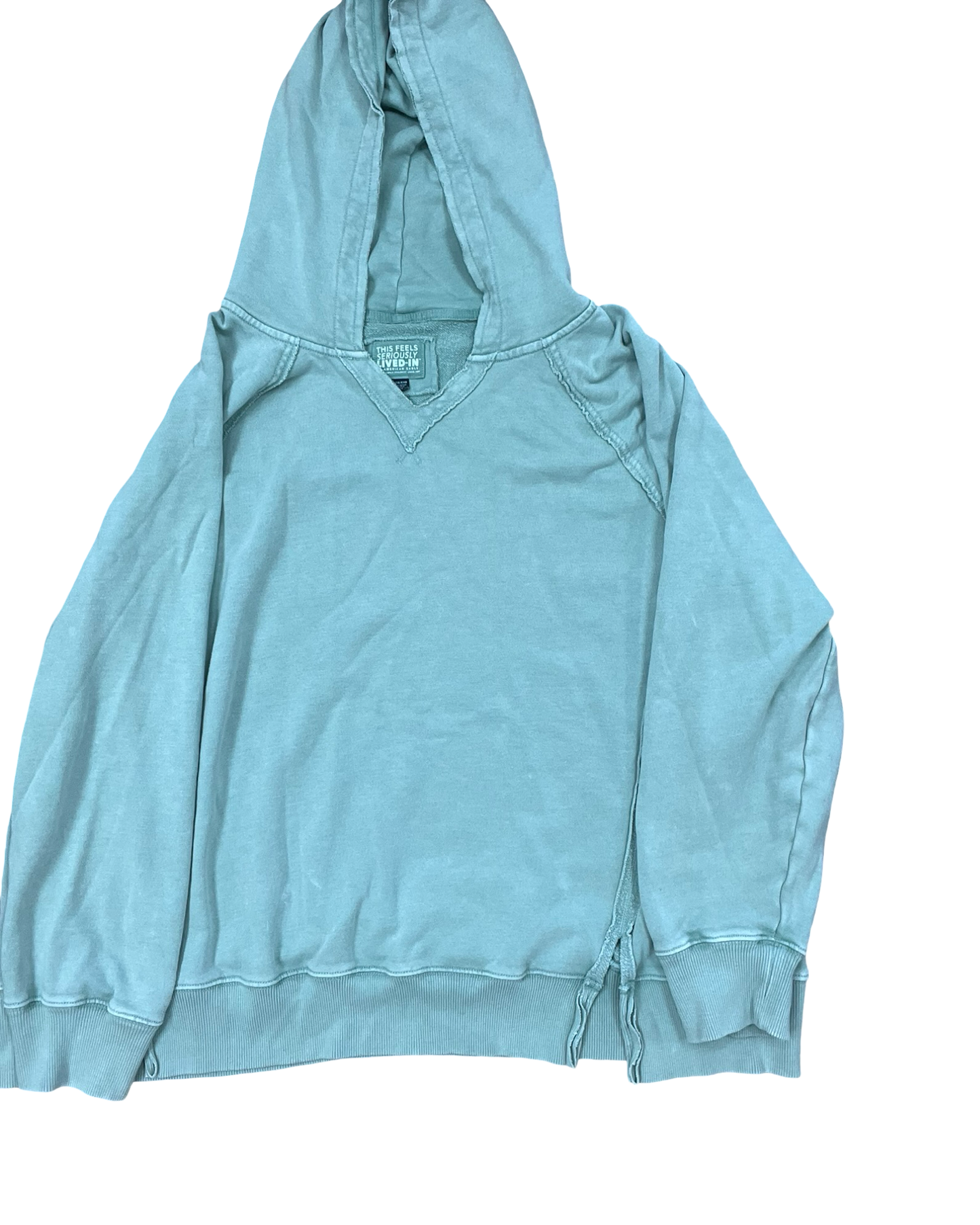 Sweatshirt Hoodie By American Eagle In Green, Size:Xl