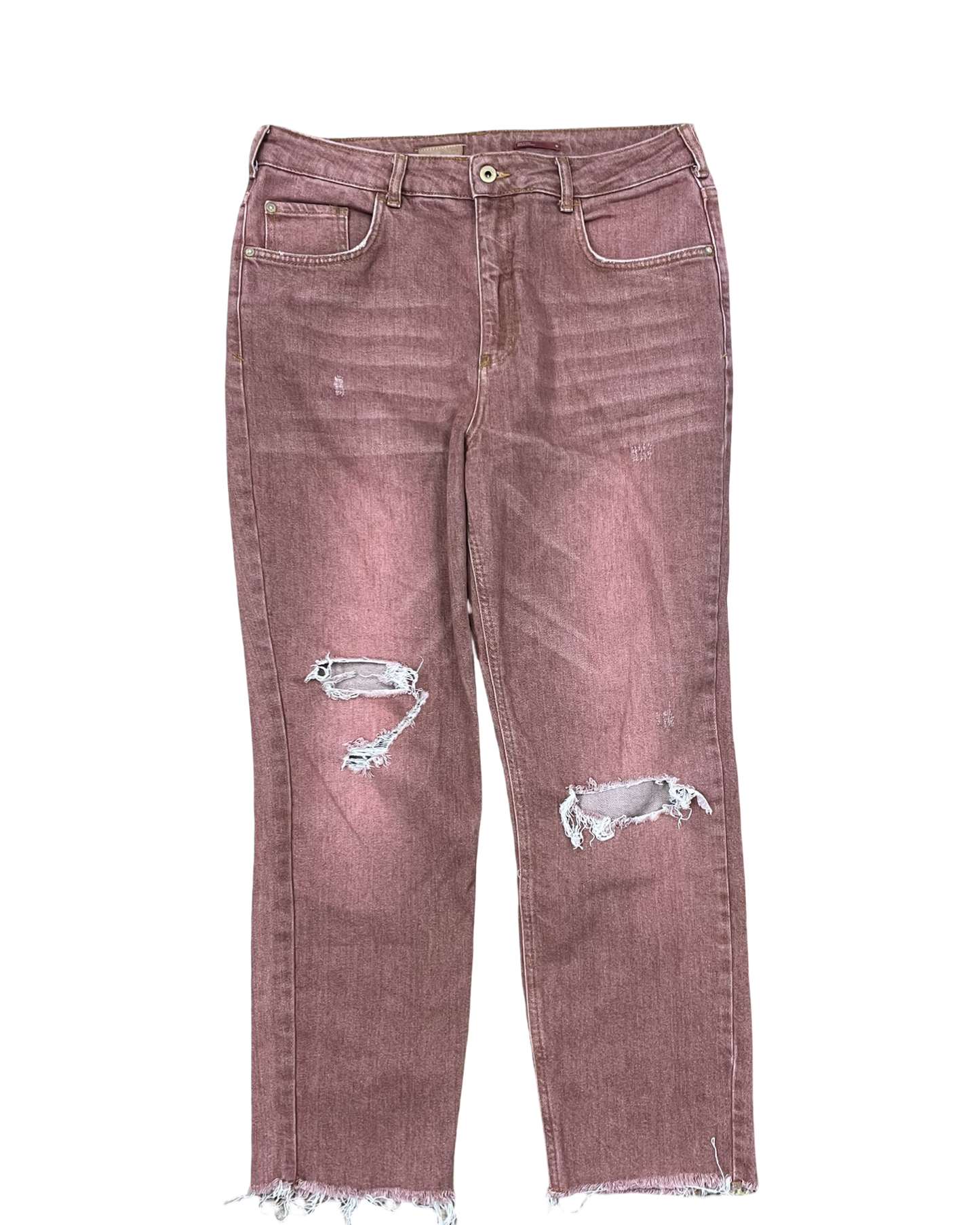 Jeans Straight By Pilcro In Brown, Size:14