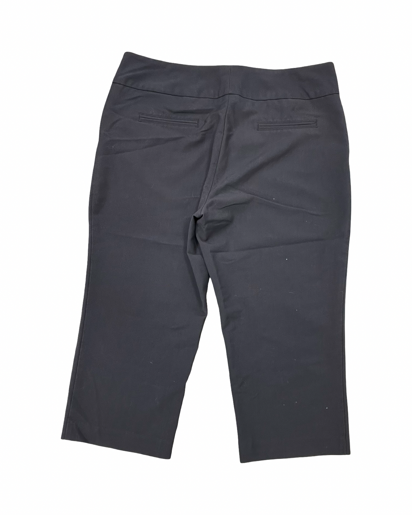 Pants Cropped By Nicole By Nicole Miller In Brown, Size:14