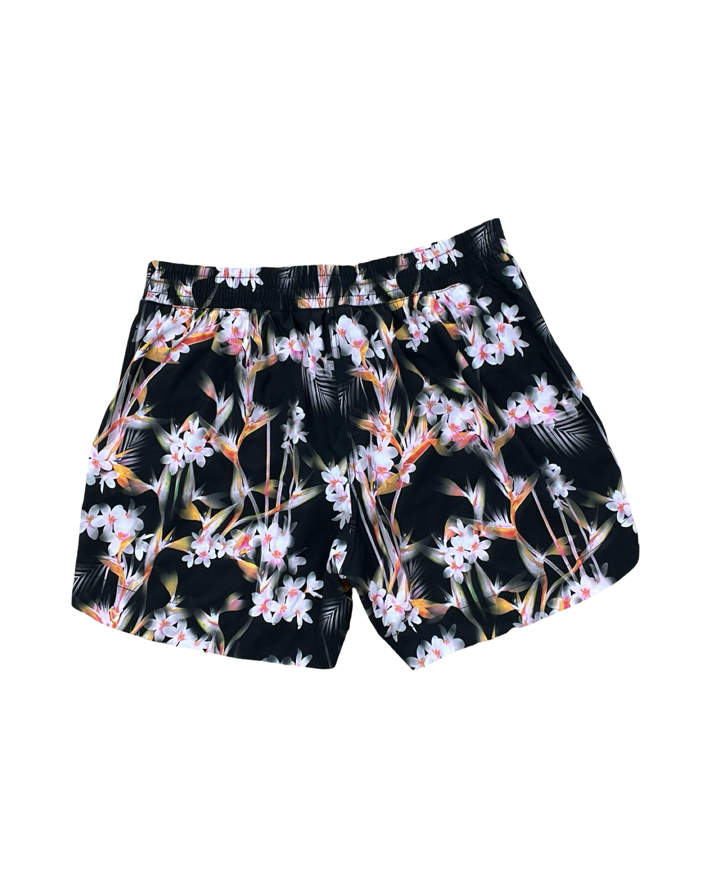 Shorts By Tangerine In Black & Orange, Size:1X