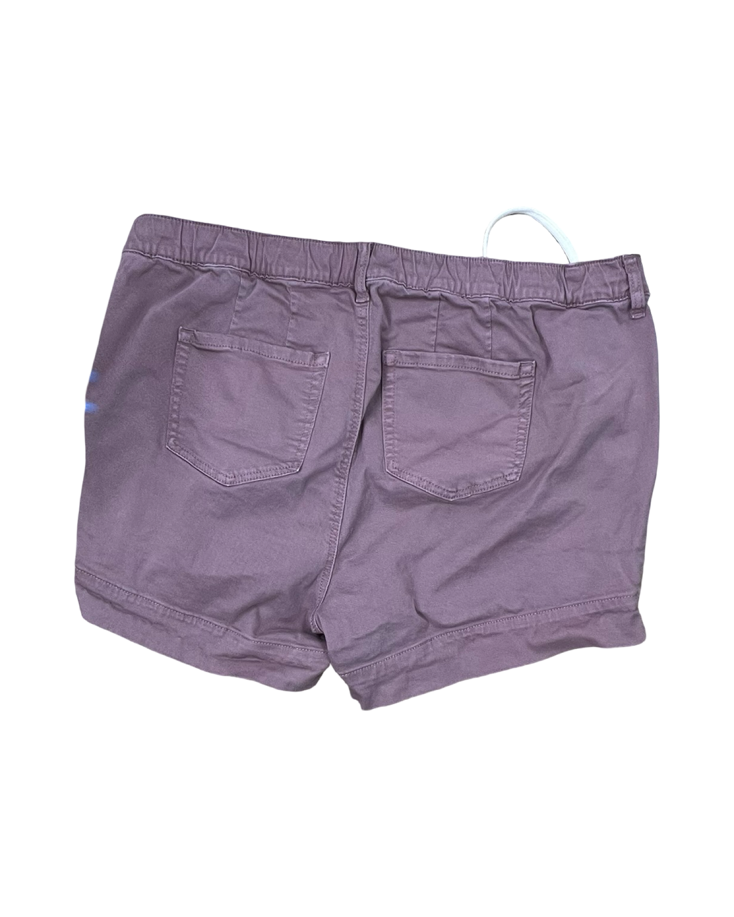 Shorts By Torrid In Purple, Size:1X