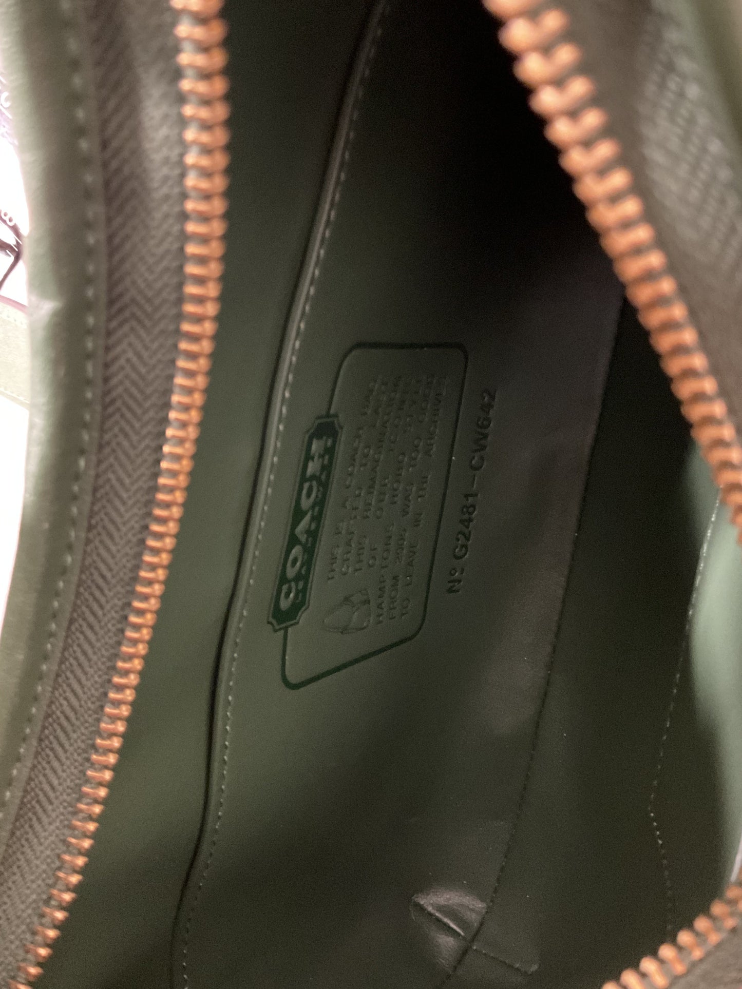 Handbag Designer By Coach In Green, Size:Small