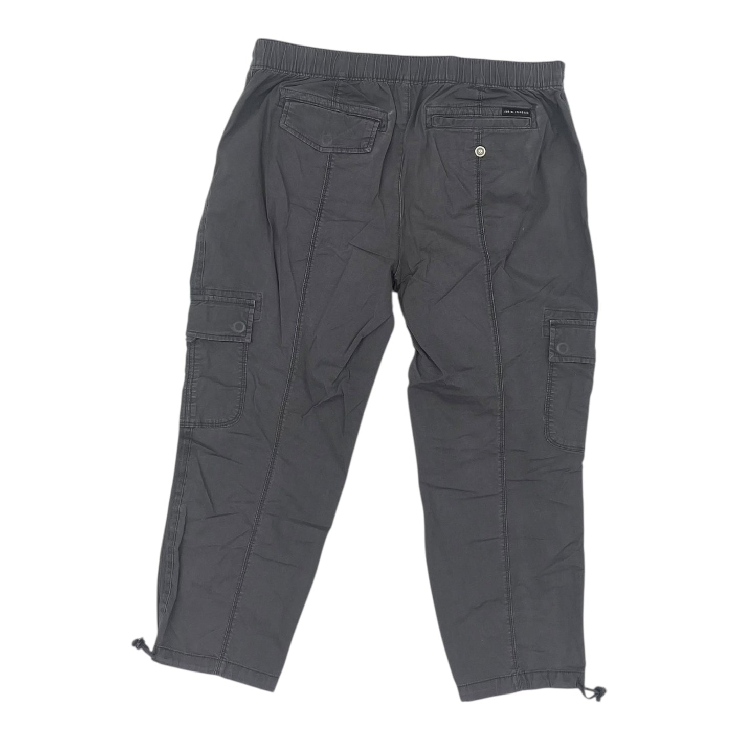 Pants Cropped By Social Standard By Sanctuary In Grey, Size:Xl